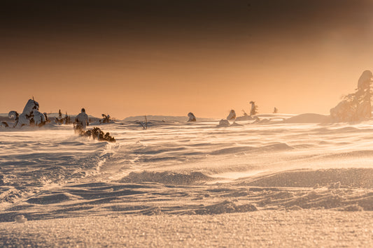 1200 km utholdenhet og kjærlighet